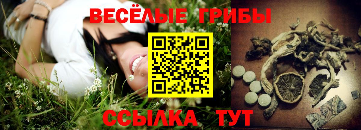 Галлюциногенные грибы прущие грибы Звенигород