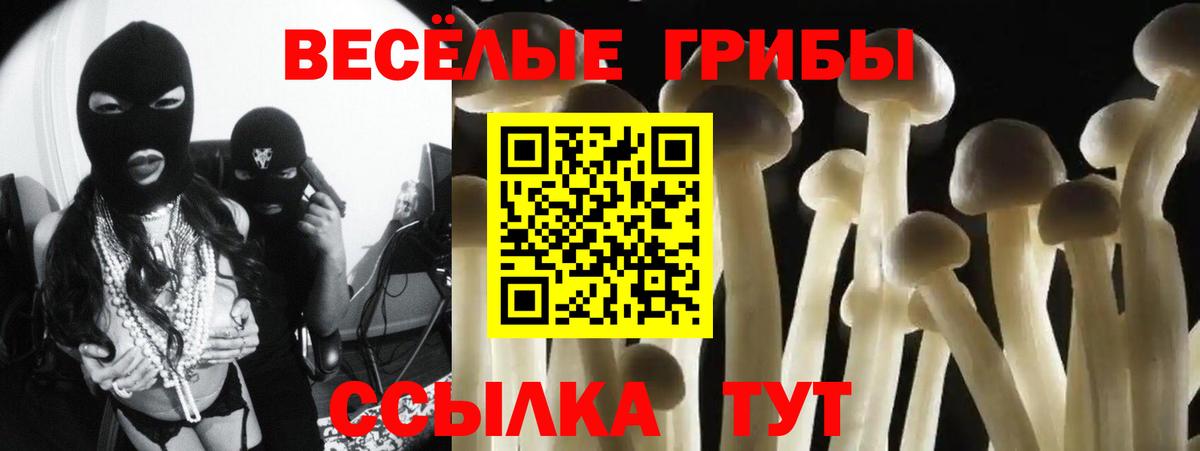 Звенигород  Псилоцибиновые грибы Cubensis  Вход с VPN 